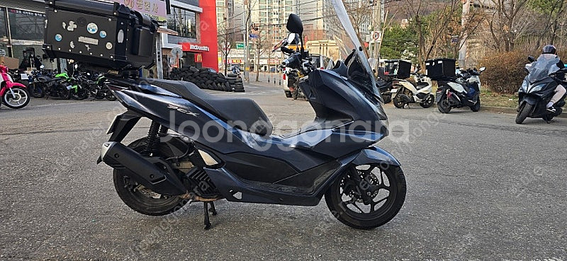 pcx 125--4
